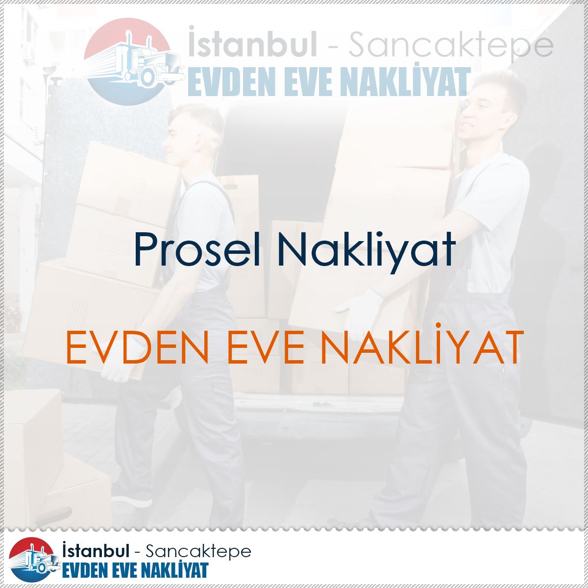 Prosel Nakliyat logo